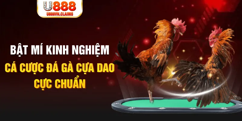 98win vin trong baccarat, ai là người chia bài chính？