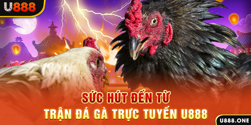 98win vin hòn gà chọi