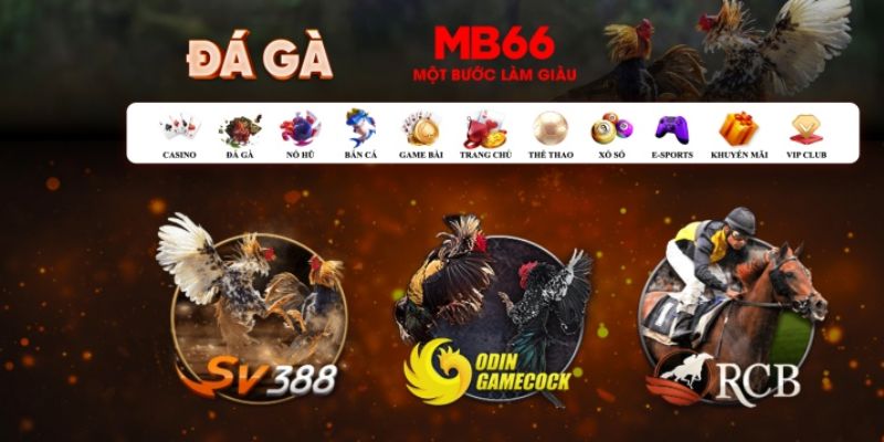 98win vin Bài Poker Hoàn Toàn Mỹ