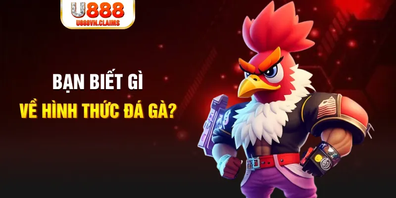 98win vin đăng nhập mậu binh dễ thắng