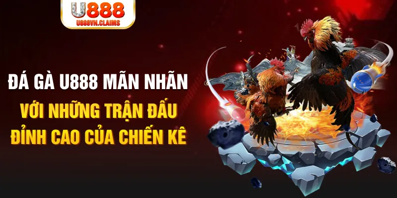 98win vin kết quả xổ số miền bắc ngày hôm nay