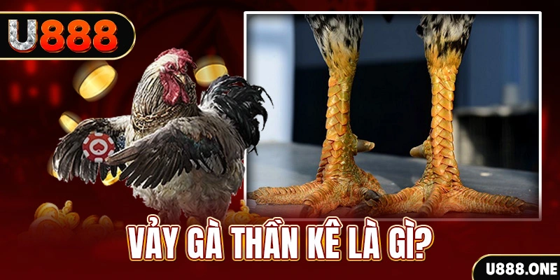 xổ số miền bắc thứ tư hàng tuần