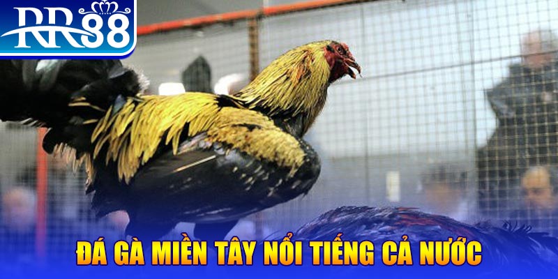98win vin đăng nhập liêng miễn phí