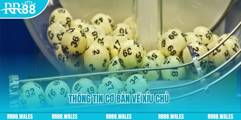 98win vin baccarat long bảo là gì