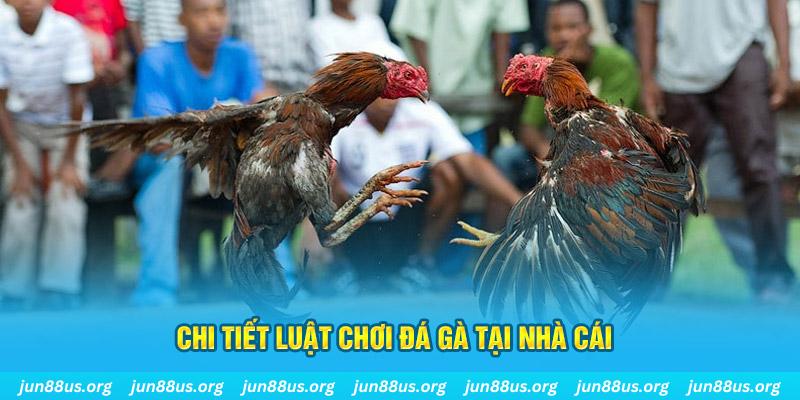 98win vin đá gà campuchia