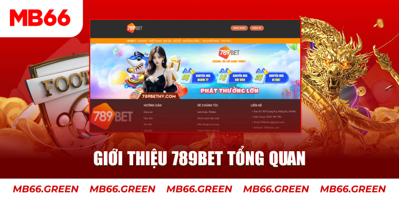 98win vin đăng nhập mậu binh trực tiếp