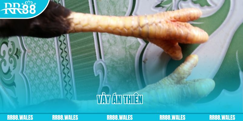 98win vin who wants to be a millionaire slot