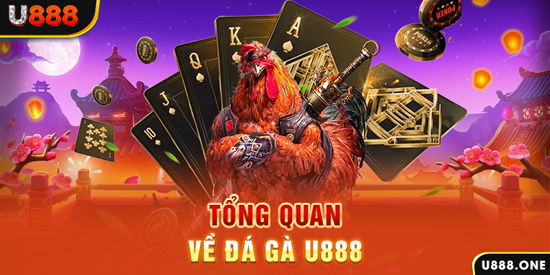 98win vin baccarat có lừa đảo không