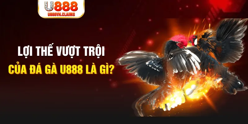 98win vin 888 slot là gì