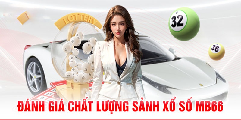789bet có bao nhiêu sảnh game bài 3d ？
